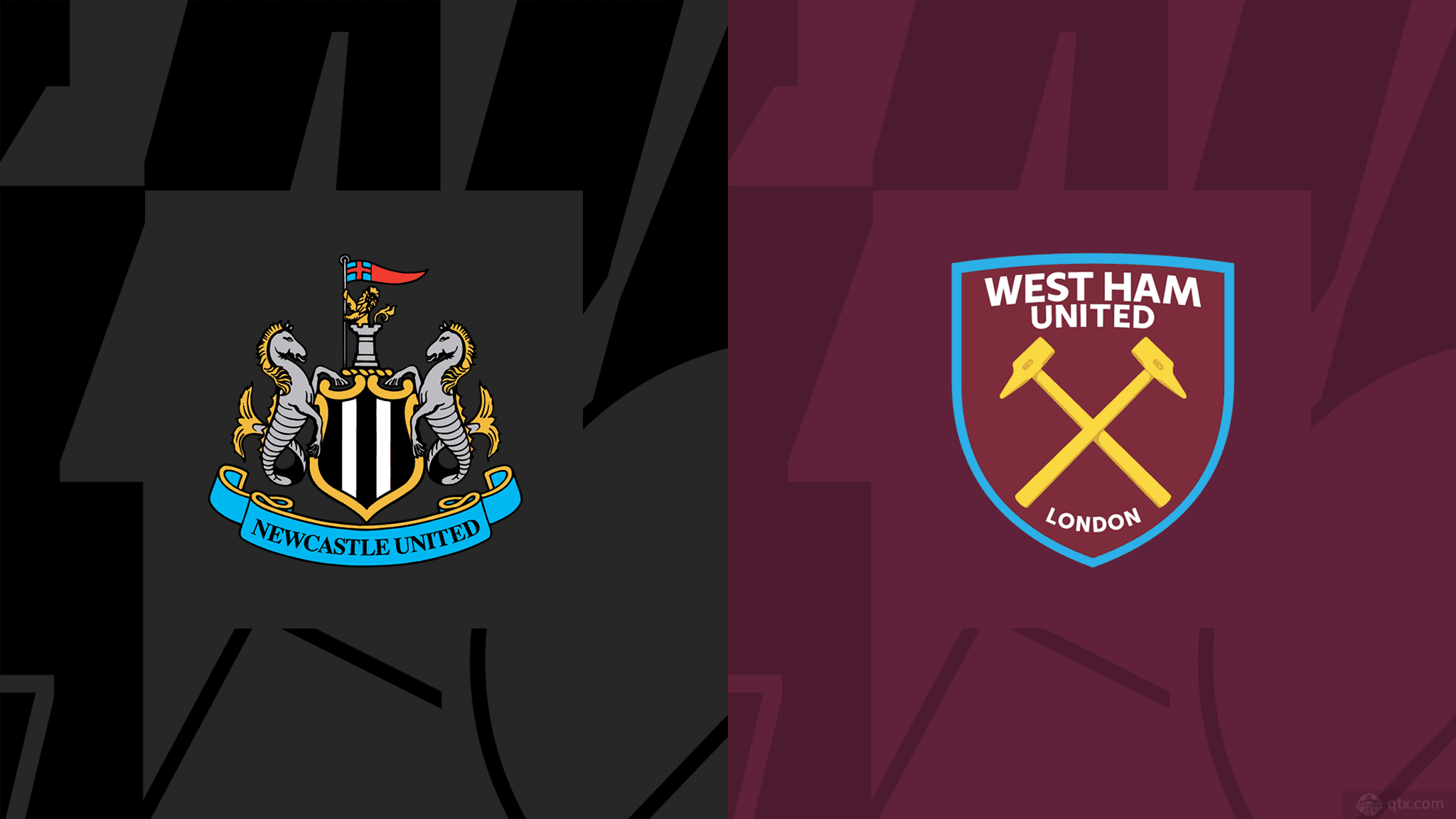 闻名的新秀 闻名的新秀